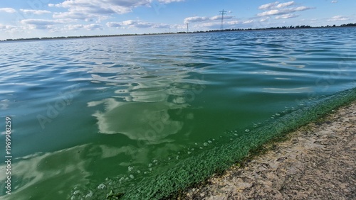 algal bloom pollution in a freshwater reservoir