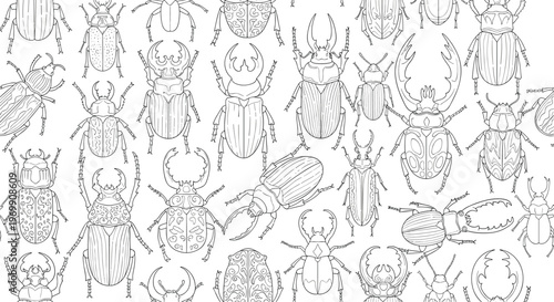 Intricate seamless pattern filled with various types of beetles and insects drawn in fine black lines for a scientific and natural history aesthetic.