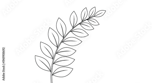 Minimalist black outline of a plant branch with several oval leaves growing from a central stem in a clean and simple botanical style.