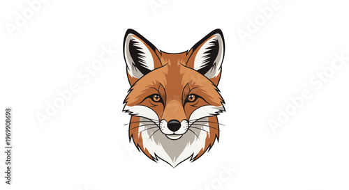 Detailed color illustration of a fox head looking forward with intelligent eyes and soft orange fur in a modern artistic style on a white background.