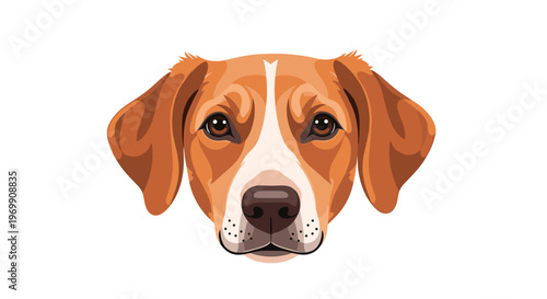 Detailed portrait of a loyal hound dog face with floppy ears and a gentle expression isolated on a clean white background.