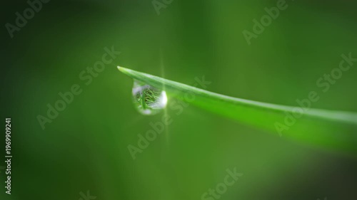 Macro Water Drops Green Leaf Rack Focus Slider. Nature Background Eco Wellness Web Design