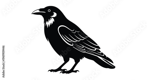 Solid black silhouette of a raven or crow bird standing on its feet with detailed outlines of feathers and a sharp beak.