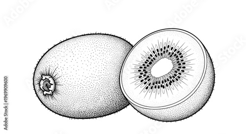 Detailed black and white stipple drawing of a whole kiwi fruit and a half sliced open showing the inner seeds and texture for food illustration.