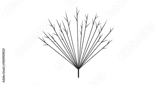 Minimalist black line drawing of a bare winter tree or dense bush with many branches on a white background for simple nature illustrations.