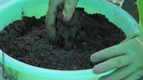 Close up of hands in green gloves mixing rich potting soil in a basin. Preparing earth for planting flowers. Concept of gardening, horticulture, hobby, and spring season. Natural lighting