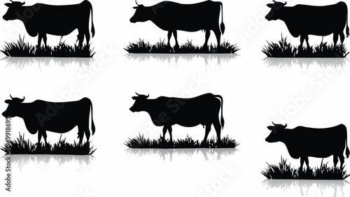 A set of black cow silhouettes standing in grass on a white background