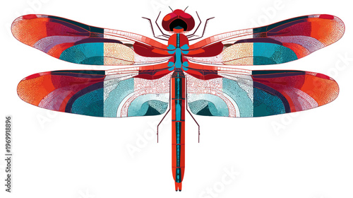 Colorful vector illustration of a dragonfly. Geometric patterns adorn the wings. Bold and vibrant