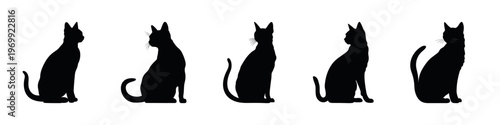 Black Cat Vector Silhouettes in Sitting Pose Set