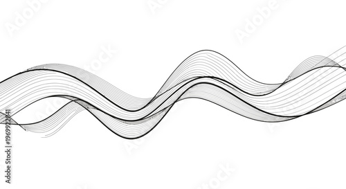 Abstract Black and White Wave Lines - Dynamic Flowing Background
