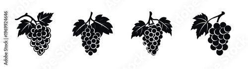 Black Grapevine Silhouette Vector Icons Set