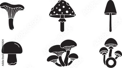 Black Solid Autumn Forest Mushroom and Fungi Silhouettes