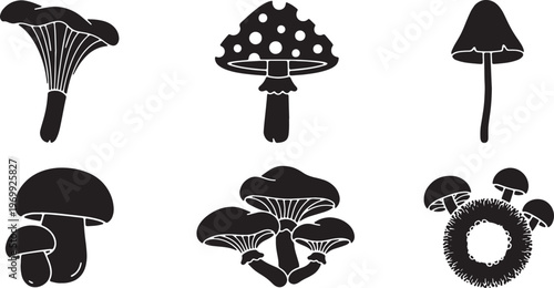 Black Solid Autumn Forest Mushroom and Fungi Silhouettes