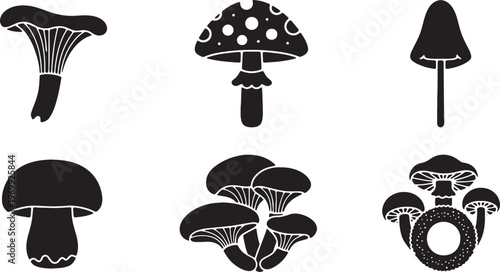 Black Solid Autumn Forest Mushroom and Fungi Silhouettes