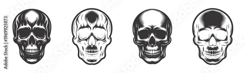 Detailed Skull Vector Illustrations In Sketch Style