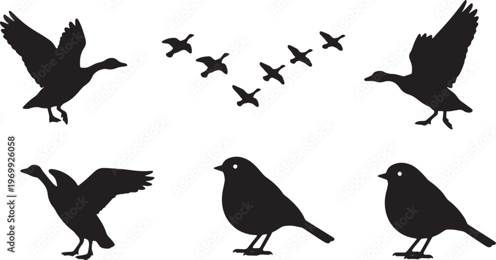 Obraz premium Black Solid Autumn Migratory Bird Silhouettes Set of Six