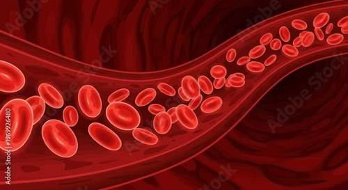 Human Blood Cells Flowing Through Artery - Medical Illustration