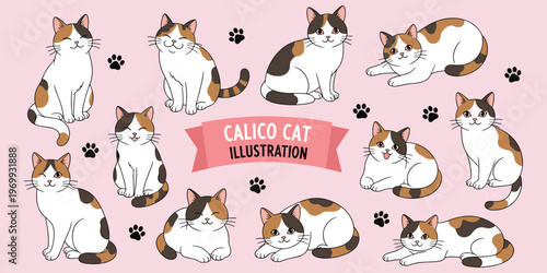 Group of cute calico cats in various poses on pink background.