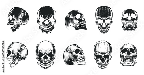 Detailed Skull Sketch Vector Illustrations in Vintage Style