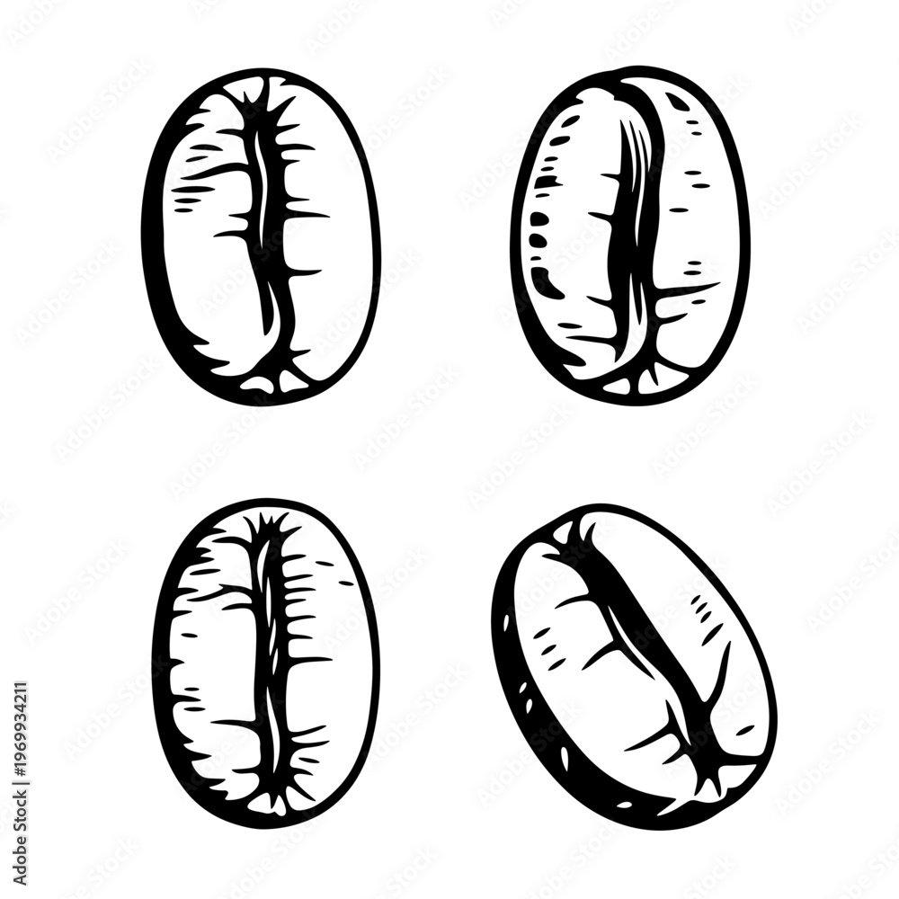 Obraz premium Set of four coffee beans in a sketch style.