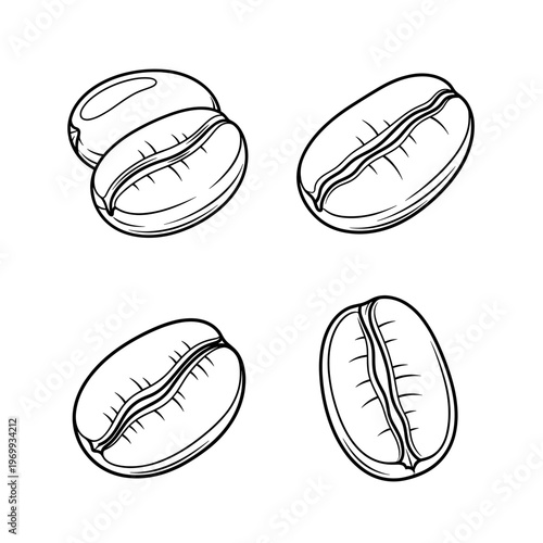Set of Four HandDrawn Coffee Beans Illustration.