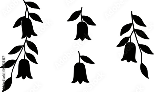Stylized Bellflower Botanical Silhouette Illustration