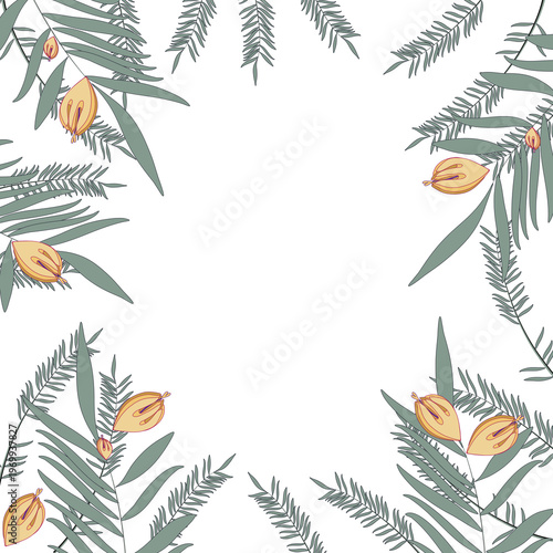 frame with branches of fir