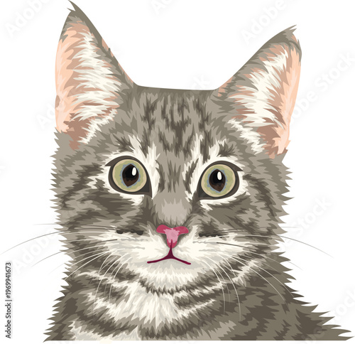 Vector portrait of a cat, illustration of a pet
