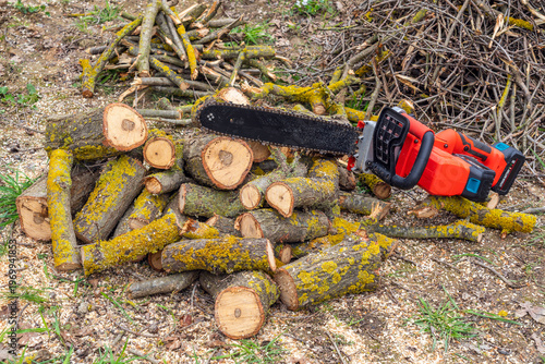 Cutting firewood with a cordless saw in the garden