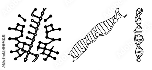 DNA strand set with geometric vector icon with hexagonal markers featuring gene, sequence, nucleotides with genetic mapping and scientific illustration