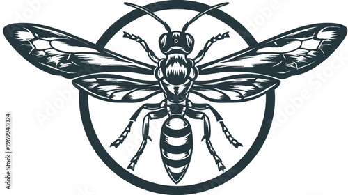 A detailed illustration of an insect, a wasp, centered in a dark circle
