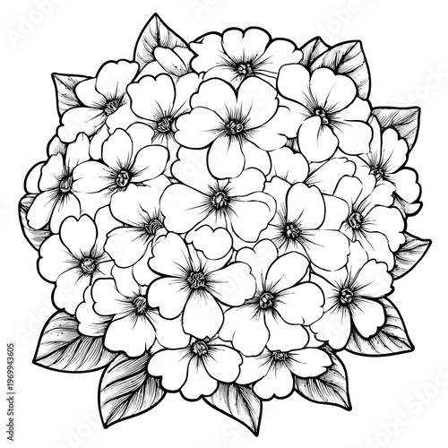 A cluster of stylized flowers and leaves, rendered in monochrome. The botanical drawing is detailed