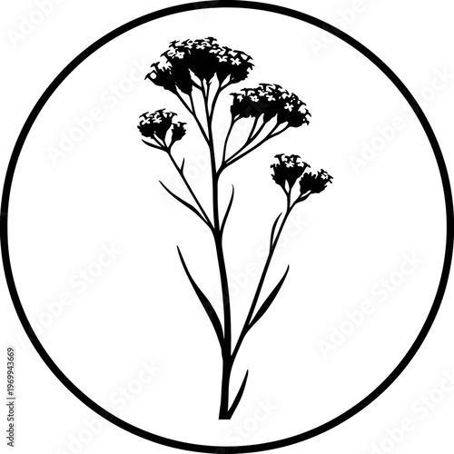 Silhouetted botanical illustration of a flowering plant stem within a circular frame