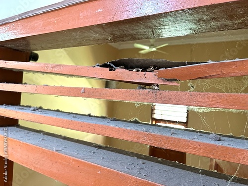 Принти на полотні Termite damaged wooden ventilation slats with dusty cobwebs and decaying structure