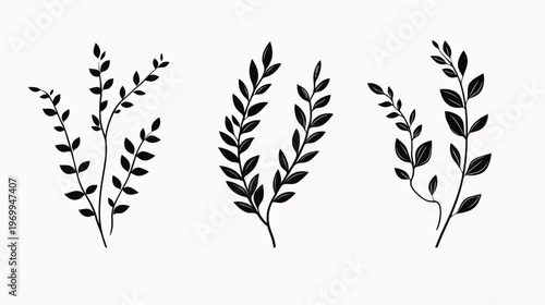 Three minimalist black botanical illustrations with leafy branches, placed on a white background