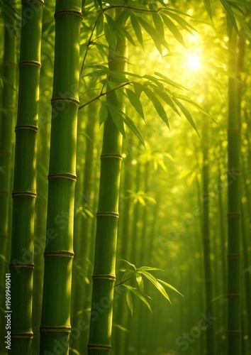 Serene bamboo forest sunlight tranquility.