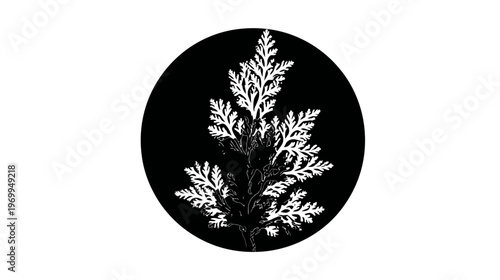Stylized white botanical illustration set within a black circle. The art appears minimalist and clean