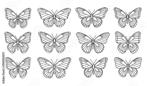 set of butterflies Butterfly Open Wings Outline Icon Vector Set with Minimal Line Art Designs