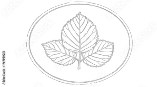 A simple, elegant, hand-drawn illustration features three stylized leaves inside a weathered circle