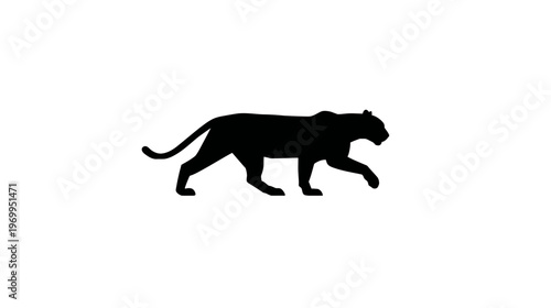 A stark black silhouette of a feline predator is depicted walking across a blank white background