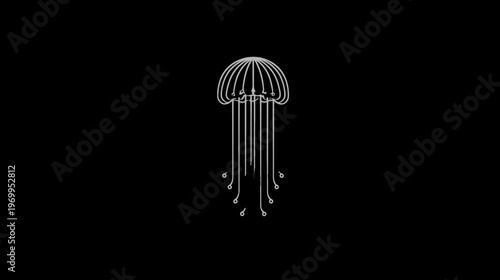 A minimalist illustration of a jellyfish in white lines on a black background