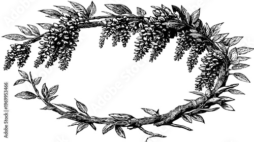 Intricate black and white botanical illustration of a wisteria wreath, leaves and hanging flowers