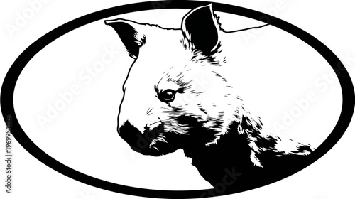 A monochrome illustration of a marsupial head in profile, framed within a black oval