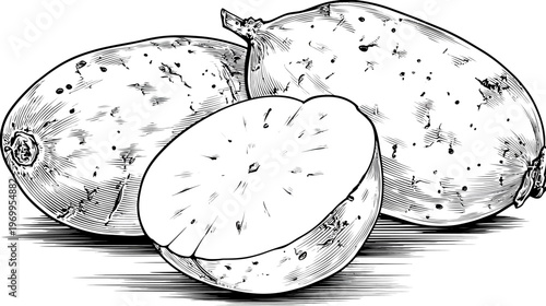 Three stylized gourds, one sliced open, depicted with intricate black and white linework