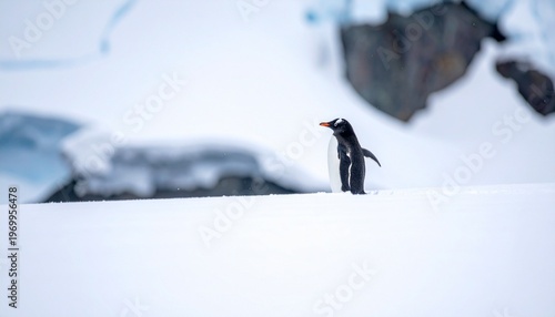 Schilderij op canvas Here are some engaging prompt ideas about penguins in different styles and moods