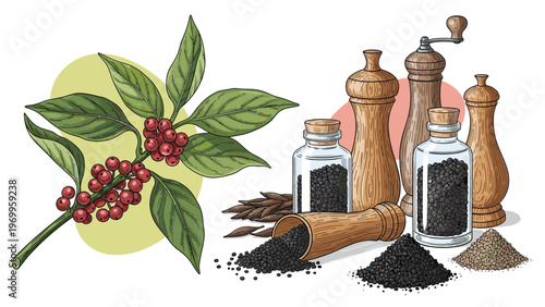 Botanical illustration features a coffee plant branch with red berries next to jars of black pepper and wooden spice grinders.