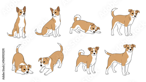 Small brown and white dog is shown in a sequence of different playful poses like sitting, standing, and stretching.