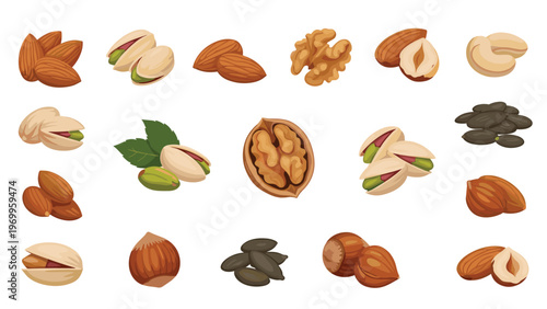 Realistic illustrations of different types of healthy nuts and seeds including almonds, walnuts, pistachios, and hazelnuts.