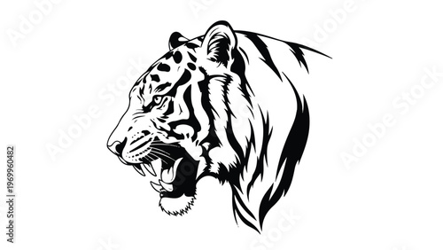 Black and White Tiger Head Illustration.