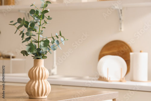 Vase with fresh eucalyptus ...